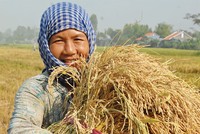 20 năm cho một tấm lá chắn rủi ro